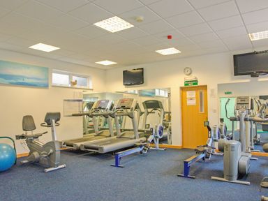 A gym room with treadmills rowing machines exercise bike and blue exercise ball at Fixit Cottage in Kingsbridge