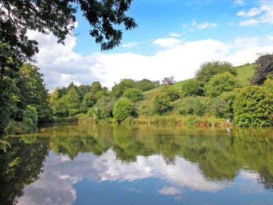 A lake surrounded by trees and greenery with a blue sky and clouds reflected on the water at Fixit Cottage in Kingsbridge