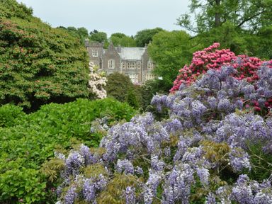 A garden with flowers and a building in the background at The Clock House in Ivybridge