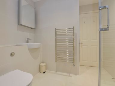 A bathroom with a toilet a sink a mirrored cabinet a trash bin a towel radiator and a door at 5 Burgh Island Causeway in Bigbury-on-Sea
