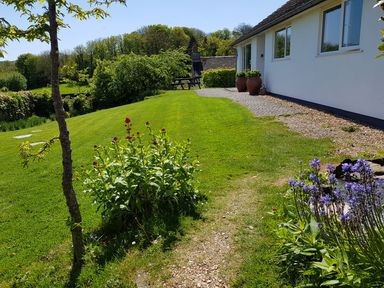 A grassy garden with flowers near a white house and trees at Orchard View in Kellaton near Hallsands