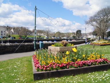 A flower bed with yellow and red flowers in a park area with trees and a walking path at Mixit Cottage in Kingsbridge