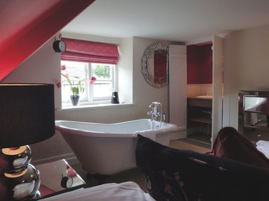 A bathroom with a freestanding bathtub beside a window with pink blinds and a flower pot at Maristow Barton in Milton Combe near Lopwell Dam