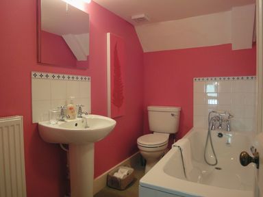 A bathroom with a sink, toilet, bathtub, and a mirror at Maristow Barton in Milton Combe, near Lopwell Dam