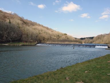 A river with a small dam surrounded by trees and grass at Maristow Barton in Milton Combe near Lopwell Dam