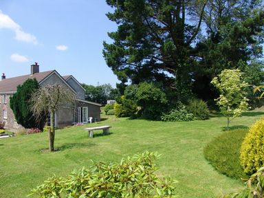 A backyard with a stone bench various trees and shrubs and a house on a sunny day at Yellowland Farm in Holsworthy