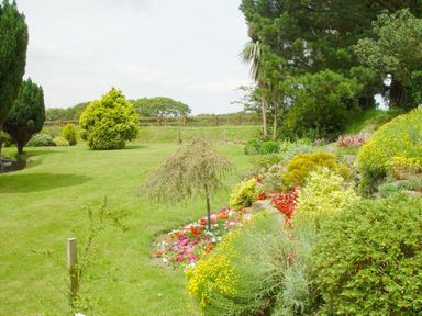 A landscaped garden with various shrubs flowers and trees at Yellowland Farm in Holsworthy