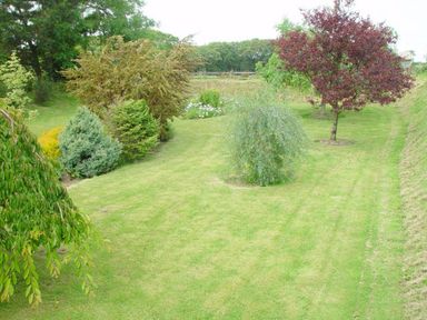 A garden with various small trees and shrubs on a mowed lawn at Yellowland Farm in Holsworthy