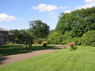 A gravel pathway curving through a green lawn with trees and bushes under a blue sky at Parnacott in Holsworthy