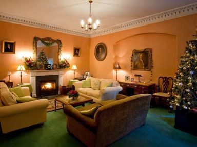 A living room with sofas coffee table fireplace and a decorated Christmas tree at Parnacott in Holsworthy