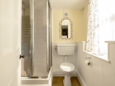 A bathroom with a shower, toilet, and mirror at Parnacott in Holsworthy