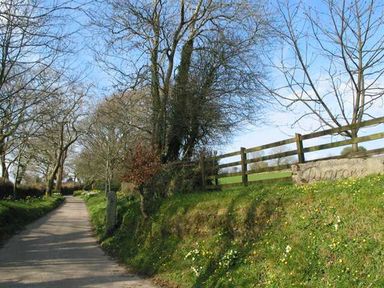 A country lane bordered by trees and a wooden fence with a stone sign at Higher Tumrose in Blisland