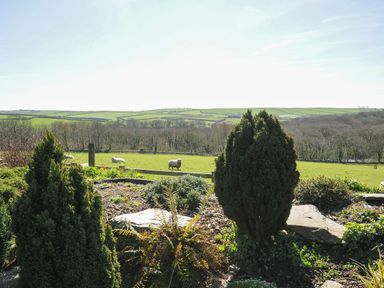A garden with shrubs and rocks overlooking a field with sheep and rolling hills at Swallow Barn in St Kew