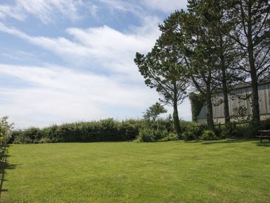 A grassy yard with trees and bushes next to a wooden structure at Salty Cottage in Morwenstow
