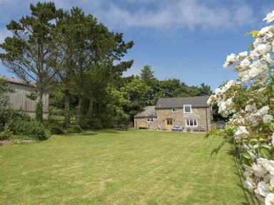 A grassy yard with trees and a stone house with wooden benches at Salty Cottage in Morwenstow