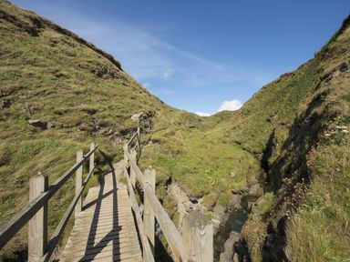 A wooden bridge over a narrow stream between grassy hills under a blue sky at Salty Cottage in Morwenstow