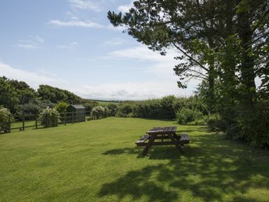 A garden with a wooden picnic table a fence and trees at Salty Cottage in Morwenstow
