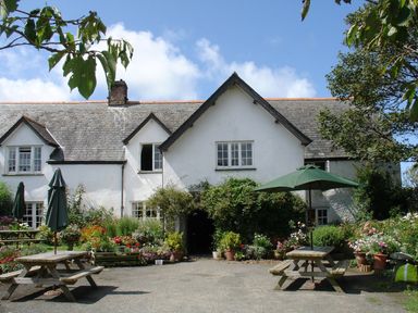A white cottage with a slate roof surrounded by trees and flowers with wooden picnic tables and green umbrellas in front at Salty Cottage in Morwenstow