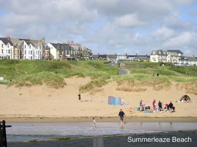 A sandy beach with people and a grassy hill with houses in the background at Summerleaze Beach