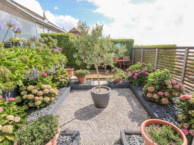 A garden area with potted plants and flowers surrounded by wooden and glass fencing at Rock Rose in Downderry