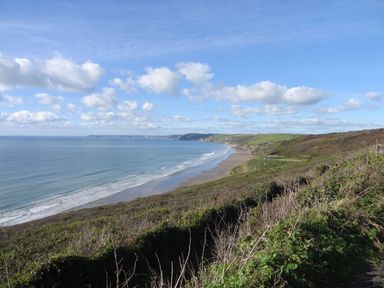 A coastal landscape showing a beach with waves and vegetation on a hillside at Seagulls Nest in Whitsand Bay near Millbrook