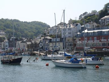 A harbor with several boats and yachts moored near a row of houses and green hills in the background