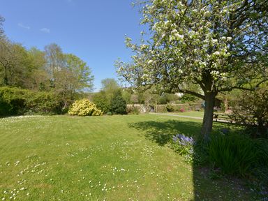 A garden with a tree in bloom and scattered flowers on the grass at Tregonhawke Farmhouse Millbrook