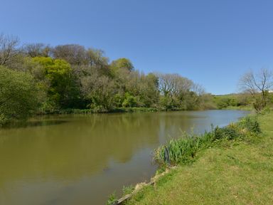A pond surrounded by trees and grassland under a clear blue sky at Tregonhawke Farmhouse in Millbrook