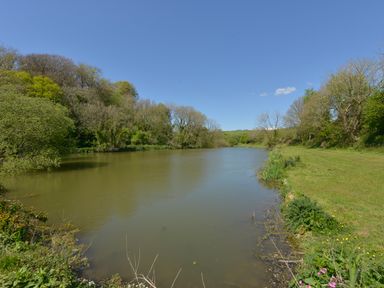 A river with trees and grass on both sides under a clear blue sky at Tregonhawke Farmhouse in Millbrook
