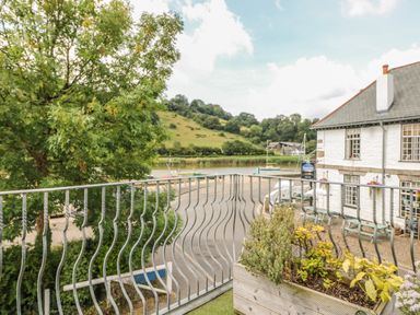 A balcony with railing and planter overlooking a river a road a tree and a white building with benches at 1 River Cottage in Calstock