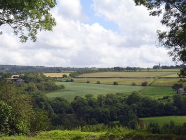 A rural landscape with fields trees and a tower in the distance at Mugwell Barn Luckett near Callington