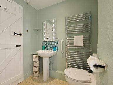 A bathroom with a white pedestal sink a mirror a metal towel heater a white toilet and a wooden door at Regatta Cottage in Feock