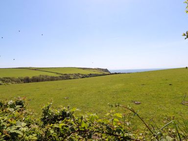 A green field with bushes in the foreground and hills in the background at Polcreek Farmhouse in Veryan