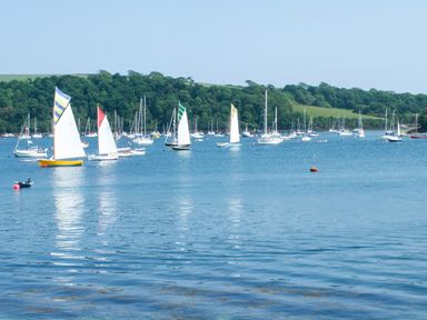 Sailboats and yachts on water with trees on shoreline at Stones Throw in St Mawes