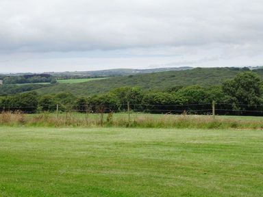 A grassy field with a wire fence and trees in the background under a cloudy sky at Swift Cottage in Mawgan-in-Meneage near Helston