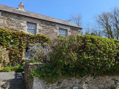 Stone cottage with two windows and garden shrubs at Swift Cottage in Mawgan-in-Meneage near Helston