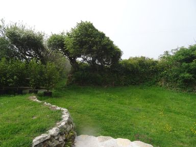 A grassy garden area with stone wall edging and trees in the background at The Studio Rinsey Cove near Praa Sands