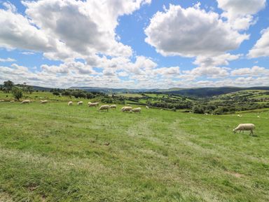 A green field with grazing sheep and hills under a partly cloudy sky at Hillside View in Rhayader