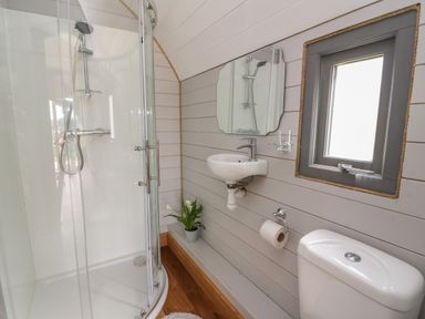 A bathroom with a shower enclosure a sink toilet a small window and a plant on the floor at Woodland View in Rhayader