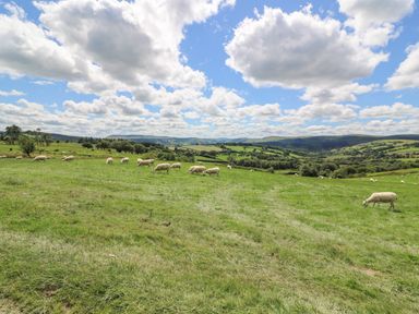 A grassy field with sheep grazing under a partly cloudy sky at Woodland View in Rhayader
