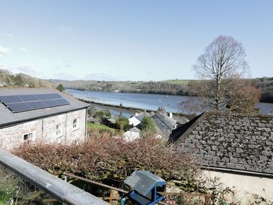 A river view with houses and a tree in a rural area at Treetops in Golant near Fowey