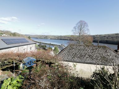 A view of rooftops with solar panels near a river and trees at Treetops in Golant near Fowey