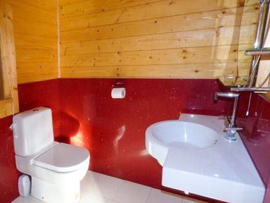 A bathroom with a toilet and sink with wood and red wall panels at St Hildas Lodge in Hinderwell near Runswick Bay