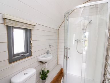 A bathroom with a toilet a small sink a potted plant a window with blinds and a curved glass shower at Mountain View in Rhayader