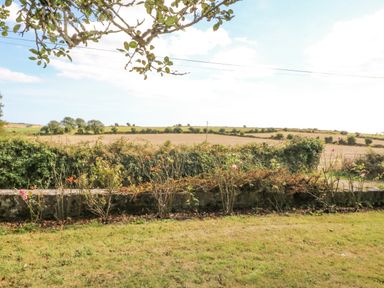 A garden with flowering plants and a hedge with a rural field and trees in the background at Beehive Cottage in Kilbrittain County Cork