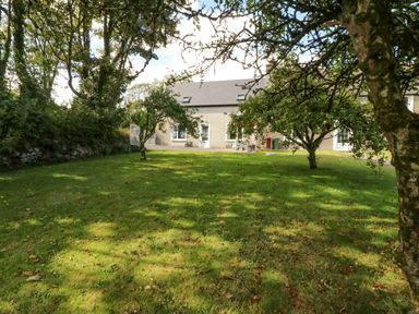 A grassy garden with several trees in front of a house at Beehive Cottage Kilbrittain County Cork