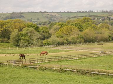 A green field with two horses grazing and fenced paddocks with trees and hills in the background at Sunnyside Lodge in Crewkerne