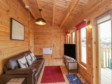 A wooden living room with a brown leather sofa with cushions a red rug a television on a wooden stand and large windows at Sunnyside Lodge in Crewkerne
