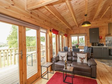 A wooden interior room with a brown sofa and deer cushions a small table with a bottle and glasses a round dining table with chairs and kitchen cabinets at Sunnyside Lodge in Crewkerne