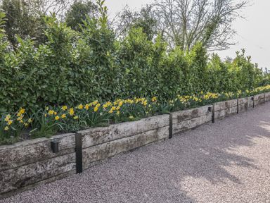 A gravel path next to a wooden retaining wall with yellow flowers and shrubs at The Stables in Cross Keys near Hereford